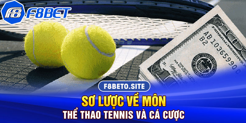 Những thông tin cần biết về bộ môn thể thao Tennis